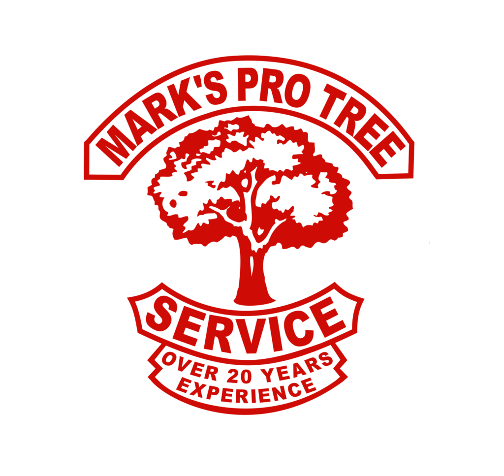Mark' professional tree service
