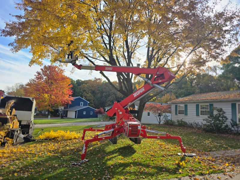 Marks Professional Tree Service Bucket and Tree Trimming_Tree Trimming Near Me_Tree Trimming Grand Rapids