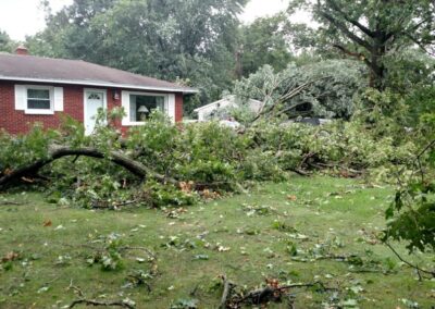 Marks Professional Tree Service - Fallen Tree Cleanup Grand Rapids