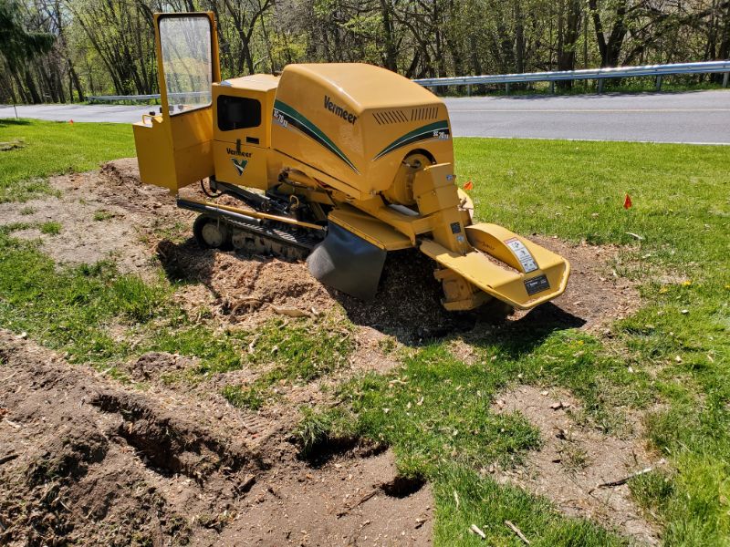 Marks Professional Tree Service Stump Grinding_Tree Removal Near Me_Stump Removal Grand Rapids