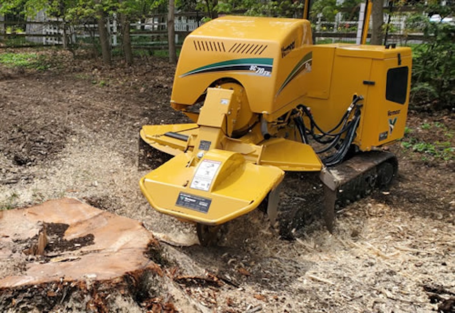 marks professional tree service stump grinding