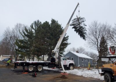Marks Professional Tree Service Tree Removal_Tree Removal Near Me_Tree Removal Grand Rapids