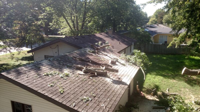 Marks Professional Tree Service Tree Removal_Tree Removal Near Me_Tree Removal Grand Rapids(5) Marks Professional Tree Service Tree Removal_Tree Removal Near Me_Tree Removal Grand Rapids