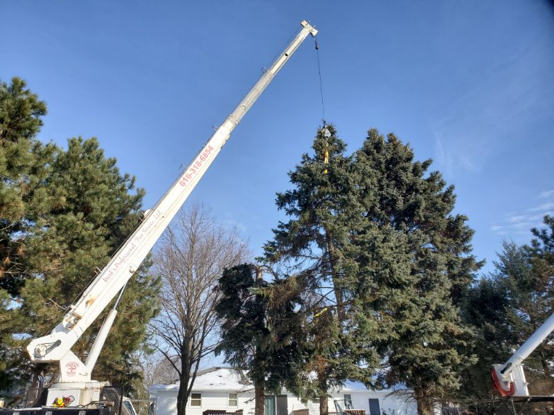Marks Professional Tree Service Tree Trimming_Tree Trimming Near Me_Tree Trimming Grand Rapids(18) Marks Professional Tree Service Tree Trimming_Tree Trimming Near Me_Tree Trimming Grand Rapids