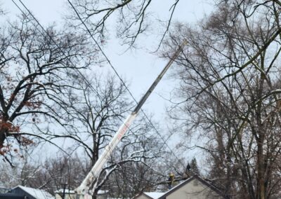 Marks Professional Tree Service Tree Trimming_Tree Trimming Near Me_Tree Trimming Grand Rapids(26)
