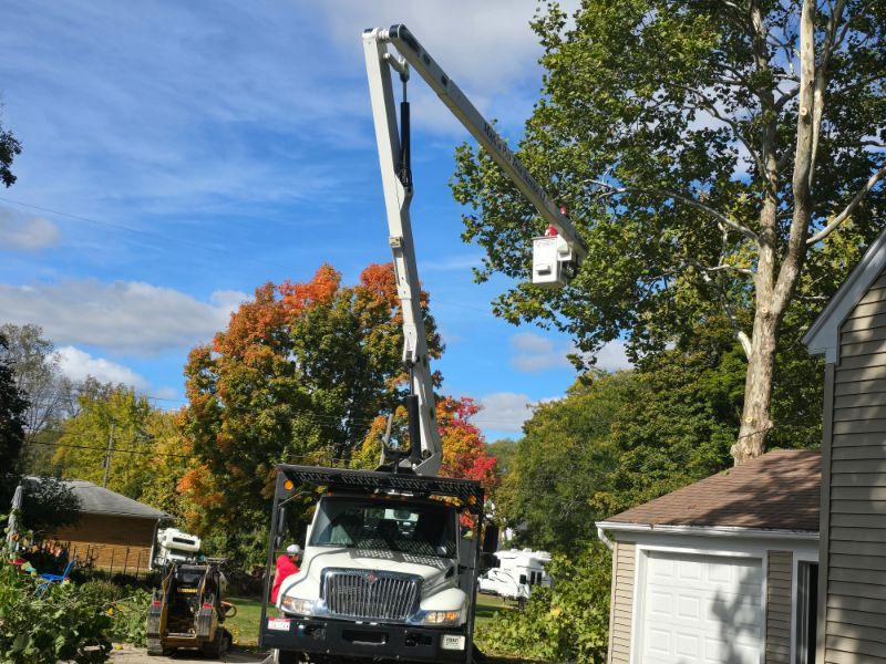 Marks Professional Tree Service Trucks and Tree Trimming_Tree Trimming Near Me_Tree Trimming Grand Rapids(14) Marks Professional Tree Service Trucks and Tree Trimming_Tree Trimming Near Me_Tree Trimming Grand Rapids