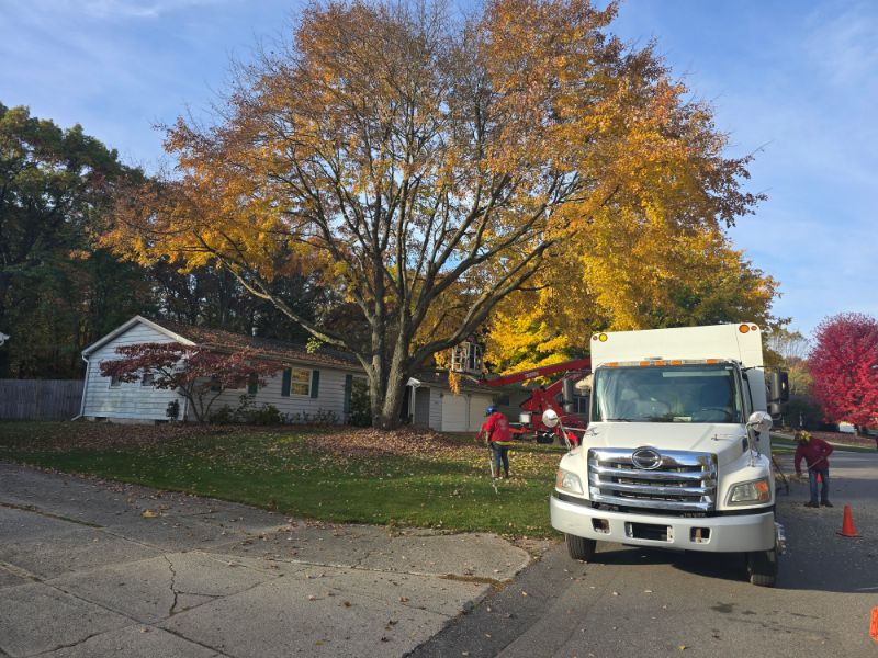 Marks Professional Tree Service Trucks and Tree Trimming_Tree Trimming Near Me_Tree Trimming Grand Rapids(15) Marks Professional Tree Service Trucks and Tree Trimming_Tree Trimming Near Me_Tree Trimming Grand Rapids