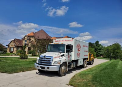 Marks Professional Tree Service Trucks and Tree Trimming_Tree Trimming Near Me_Tree Trimming Grand Rapids(9)