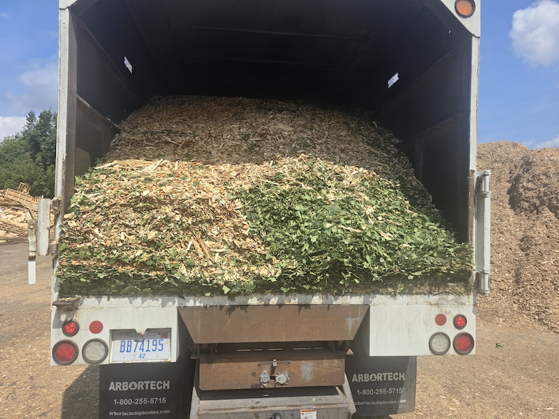 Mark's Professional Tree Service Wood Chip Sales